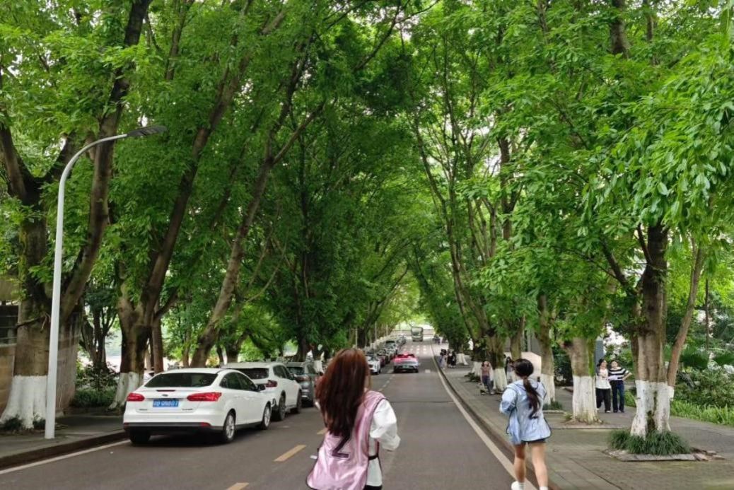 5月16日公司开展第十三届“筑梦启航”体育文化节定向越野竞赛圆满收官 原图2.jpg